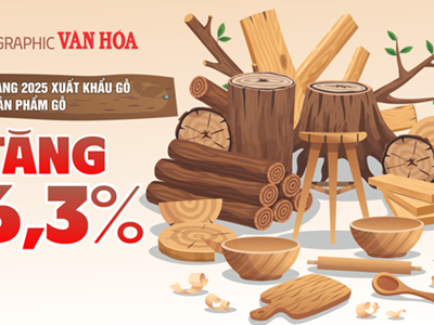 (Infographic) Hoa Kỳ chiếm hơn nửa thị phần xuất khẩu gỗ Việt Nam trong 8 tháng 2025