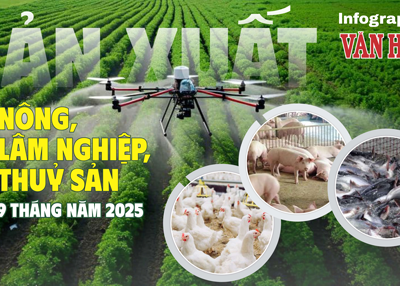 (Infographic) Nông, lâm, thủy sản 9 tháng năm 2025 duy trì đà tăng trưởng ổn định