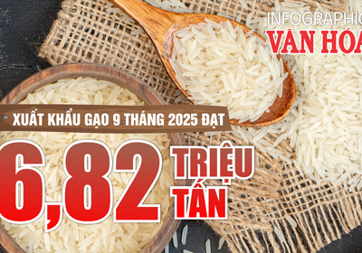 (Infographic) Xuất khẩu gạo Việt Nam giảm giá trị 20% trong 9 tháng năm 2025