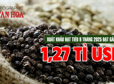 (Infographic) Giá hồ tiêu tăng mạnh, kim ngạch xuất khẩu gần 1,27 tỉ USD trong 9 tháng