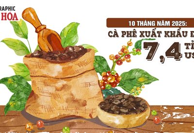 (Infographic) Xuất khẩu cà phê lập kỷ lục mới, vượt 7,4 tỉ USD sau 10 tháng