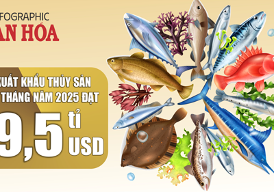 (Infographic) 10 tháng 2025, xuất khẩu thủy sản đạt 9,5 tỉ USD, tăng 16%