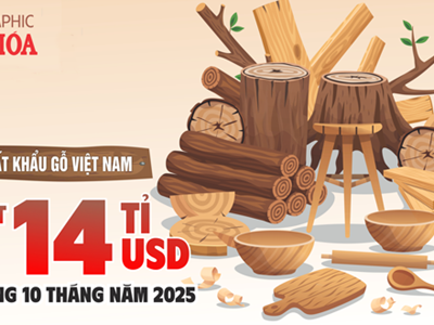 (Infographic) Xuất khẩu gỗ Việt Nam đạt 14 tỉ USD trong 10 tháng năm 2025