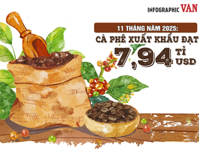 (Infographic) Cà phê Việt Nam lập kỷ lục xuất khẩu 7,94 tỉ USD sau 11 tháng