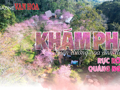 (Emagazine) Khám phá “thiên đường hoa anh đào” rực rỡ ở Quảng Ngãi