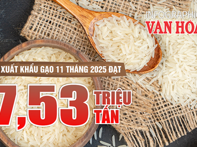 (Infographic) 11 tháng 2025: Xuất khẩu gạo giảm sâu, kim ngạch lao dốc 27,4%