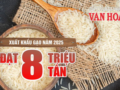 (Infographic) Xuất khẩu gạo tháng 12 khởi sắc, nhưng cả năm 2025 vẫn giảm so với năm trước
