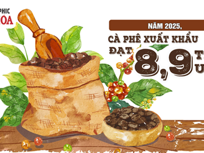 (Infographic) Xuất khẩu cà phê lập kỷ lục lịch sử, thu gần 9 tỉ USD trong năm 2025