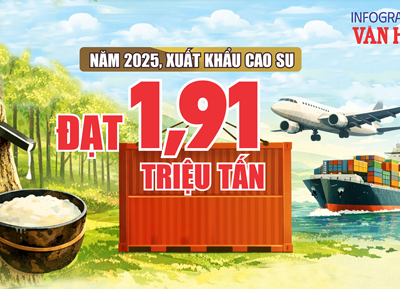 (Infographic) Xuất khẩu cao su năm 2025 giảm về lượng, kim ngạch vẫn đạt 3,33 tỉ USD