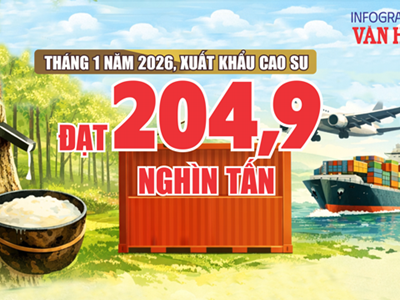(Infographic) Kim ngạch cao su vượt 362 triệu USD, tăng trưởng ấn tượng đầu năm
