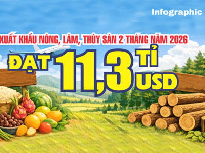(Infographic) Xuất khẩu nông, lâm, thủy sản 2 tháng đầu năm 2026 đạt 11,3 tỉ USD, tăng hơn 17%