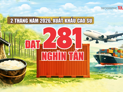 (Infographic) Xuất khẩu cao su Việt Nam đạt hơn 503 triệu USD sau 2 tháng