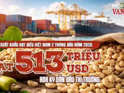 Xuất khẩu hạt điều Việt Nam 2 tháng đầu năm 2026 đạt 513 triệu USD