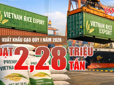 Xuất khẩu gạo quý I.2026 đạt 2,28 triệu tấn nhưng giá giảm mạnh, kim ngạch sụt giảm