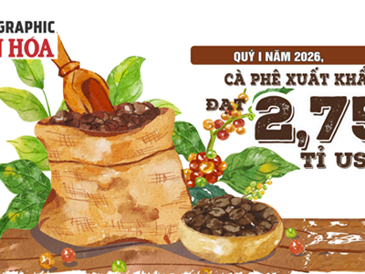 Xuất khẩu cà phê quý I.2026 đạt 2,75 tỉ USD, Đức dẫn đầu, giá giảm 16,9%