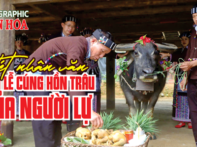 (Infographic) Nét nhân văn qua lễ cúng hồn trâu của người Lự 