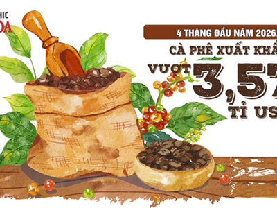 Xuất khẩu cà phê Việt Nam 4 tháng đầu năm 2026 đạt 3,57 tỉ USD