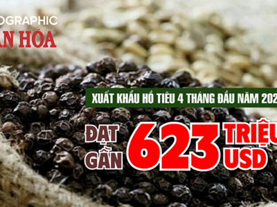Xuất khẩu hồ tiêu 4 tháng đầu năm 2026 đạt gần 623 triệu USD