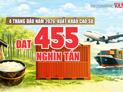 Xuất khẩu cao su 4 tháng đầu năm 2026 đạt 455 nghìn tấn, thu về 844,7 triệu USD