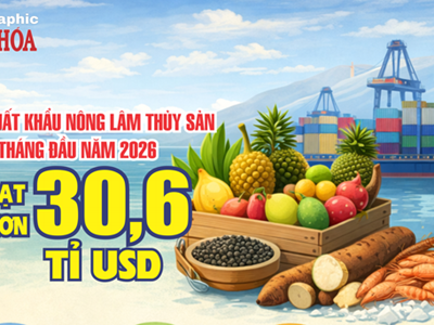 Xuất khẩu nông lâm thủy sản 5 tháng đầu năm 2026 đạt hơn 30,6 tỉ USD