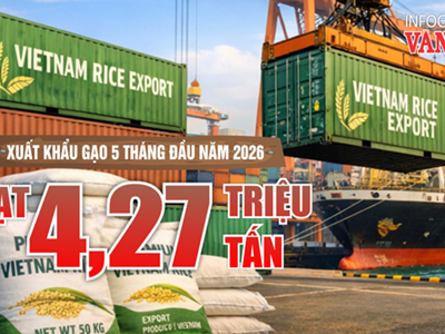 Xuất khẩu gạo 5 tháng đầu năm 2026 đạt 4,27 triệu tấn, thu về 2 tỉ USD