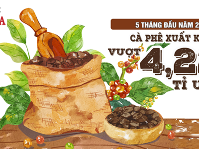 Xuất khẩu cà phê 5 tháng đầu năm 2026 vượt 4,22 tỉ USD, Đức dẫn đầu thị trường