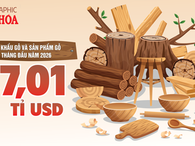 Xuất khẩu gỗ 5 tháng đầu năm 2026 đạt 7,01 tỉ USD, Trung Quốc tăng gần 49%