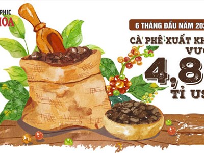 Xuất khẩu cà phê 6 tháng đầu năm 2026 vượt 4,81 tỉ USD