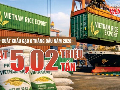 Xuất khẩu gạo Việt Nam 6 tháng đầu năm 2026 đạt 5,02 triệu tấn, thu về 2,38 tỉ USD