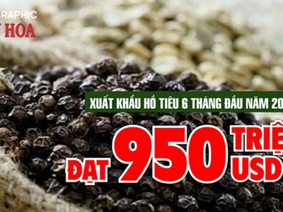 Xuất khẩu hồ tiêu 6 tháng đầu năm 2026 đạt 950 triệu USD, tăng mạnh cả lượng và kim ngạch