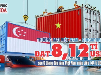 Thương mại Việt Nam - Singapore đạt 8,12 tỉ USD sau 6 tháng đầu năm, nhập siêu 1,44 tỉ USD
