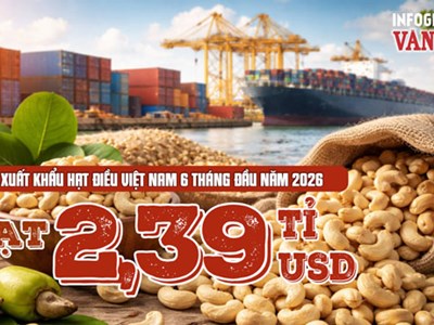 Xuất khẩu hạt điều Việt Nam 6 tháng đầu năm 2026 đạt 2,39 tỉ USD