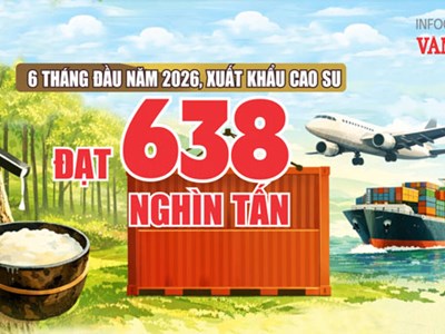 Xuất khẩu cao su 6 tháng đạt 1,22 tỉ USD, thị trường Trung Quốc dẫn đầu