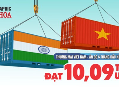 Kim ngạch thương mại Việt Nam - Ấn Độ đạt 10,09 tỉ USD sau 6 tháng