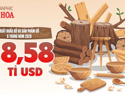 Xuất khẩu gỗ Việt Nam thu về 8,58 tỉ USD sau 6 tháng