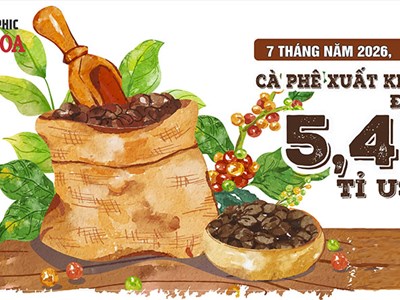 Cà phê Việt Nam xuất khẩu 7 tháng đạt 5,45 tỉ USD