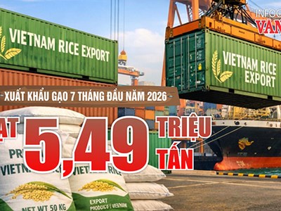 Xuất khẩu gạo 7 tháng năm 2026 đạt 5,49 triệu tấn, thu hơn 2,6 tỉ USD
