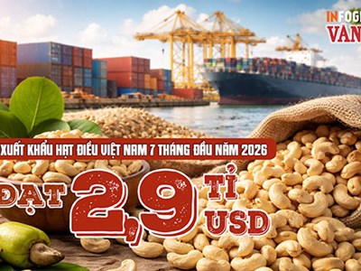 Xuất khẩu hạt điều Việt Nam đạt 2,9 tỉ USD, Trung Quốc dẫn đầu