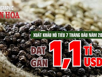 Hồ tiêu Việt Nam thu gần 1,1 tỉ USD sau 7 tháng, tăng 11,1% so với cùng kỳ