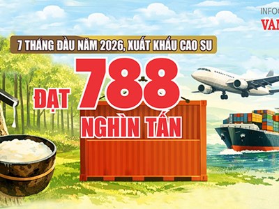 Xuất khẩu cao su 7 tháng đầu năm 2026: Gần 1,55 tỉ USD, Trung Quốc dẫn đầu