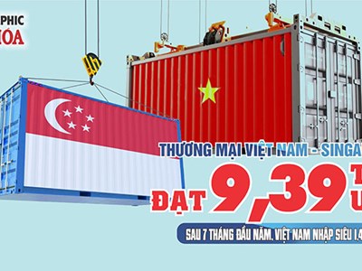 Việt Nam - Singapore đạt 9,39 tỉ USD, nhập siêu 1,46 tỉ USD