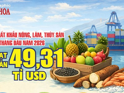 Gần 50 tỉ USD sau 8 tháng: Xuất khẩu nông, lâm, thủy sản tăng mạnh