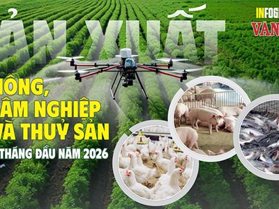 6,95 triệu tấn thủy sản sau 8 tháng, nông nghiệp phân hóa