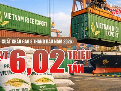 Xuất khẩu gạo 8 tháng đạt 6,02 triệu tấn, thu 2,9 tỉ USD