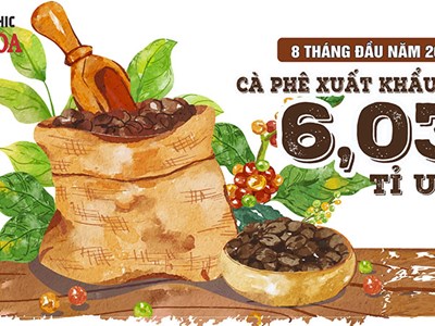 Bán nhiều cà phê hơn, Việt Nam vẫn thu về ít tiền hơn