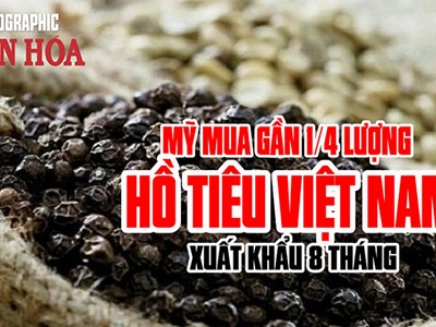 Mỹ mua gần 1/4 lượng hồ tiêu Việt Nam xuất khẩu 8 tháng