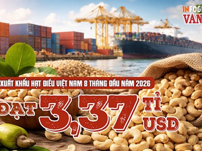 Xuất khẩu hạt điều đạt 3,37 tỉ USD dù lượng giảm 0,9%