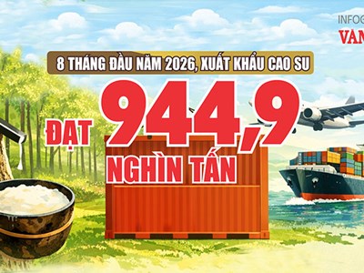 944,9 nghìn tấn cao su xuất khẩu: Bán ít hơn, giá vẫn tăng 12,2%