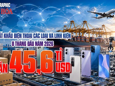Mặt hàng nào mang về gần 45,6 tỉ USD, tháng 8 bất ngờ vượt 7 tỉ?