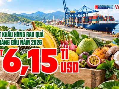 Ai đã chi 3,87 tỉ USD mua rau quả Việt Nam sau 8 tháng?